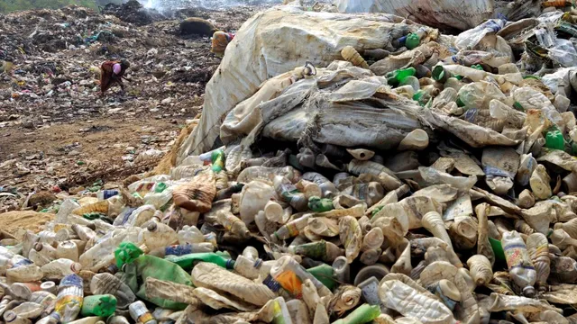 chandigarh-municipal-corporation-bans-singleuse-plastics-hefty-fines-on-violators-effective-from-july-1